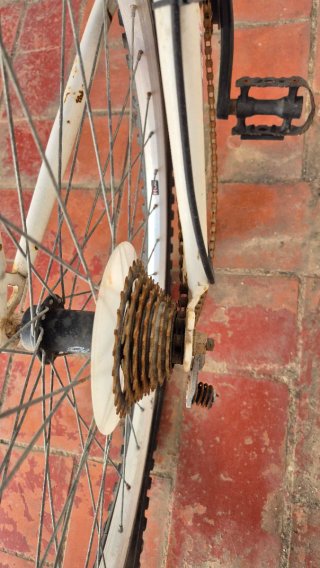 Bicicleta