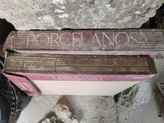 regalo Baldosas y azulejos