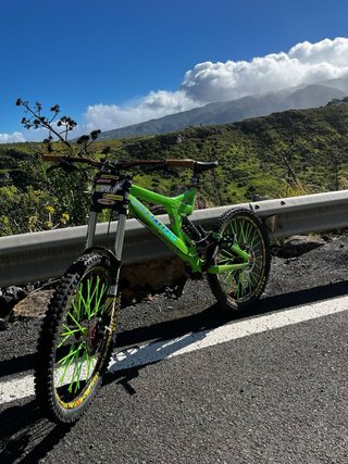 Bicicleta Descenso Specialized Verde