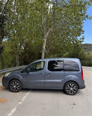 Citroen Berlingo 2010