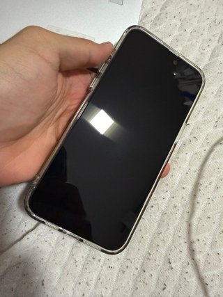 iPhone 15 Pro Max 256GB Plata 84%