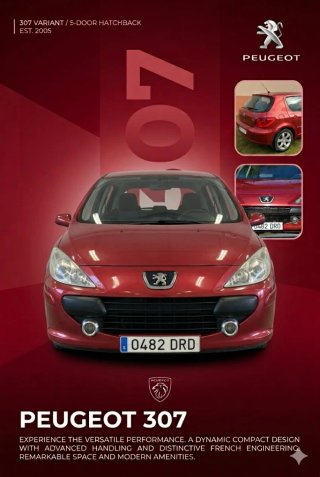 Peugeot 307 2004