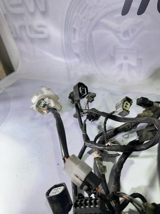 Suzuki Burgman 125 Sistema Eléctrico