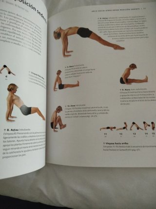 Ashtanga Yoga: Curso completo para la práctica ...