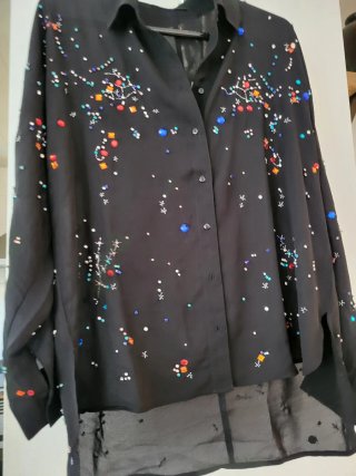 Camisa gasa Lola Casademunt pedrería