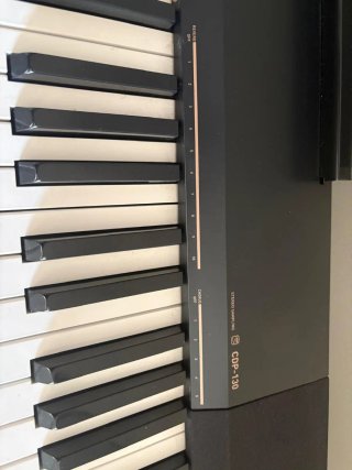 Casio cdp-130