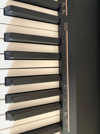 Casio cdp-130