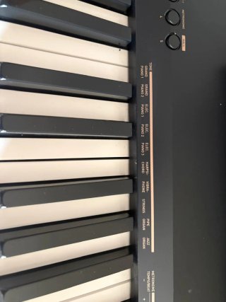 Casio cdp-130