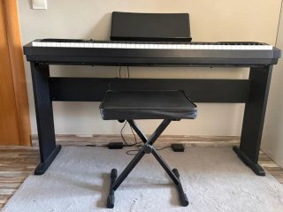 Casio cdp-130