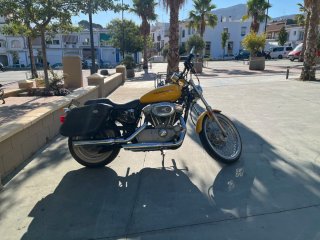Harley Davidson Sportster 883 C 2005