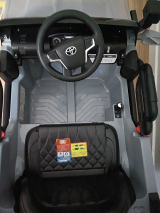 Coche teledirigido gris