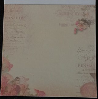 Livro de Adesivos Rosyposy Time Book Series