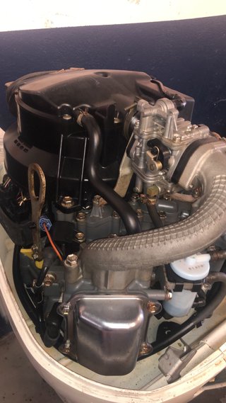 Motor fueraborda