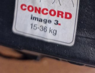 Alzador coche niño hasta 36kg