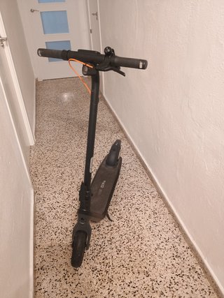 Patinete Eléctrico Ninebot E2 Pro