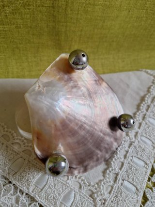 Conchiglia porta bijoux