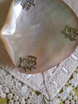 Conchiglia porta bijoux