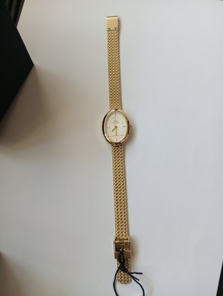 Reloj Daniel Wellingto  Ovalado