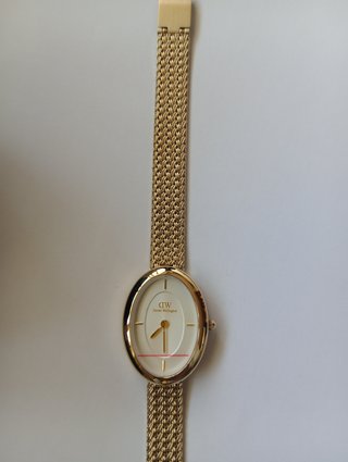 Reloj Daniel Wellingto  Ovalado