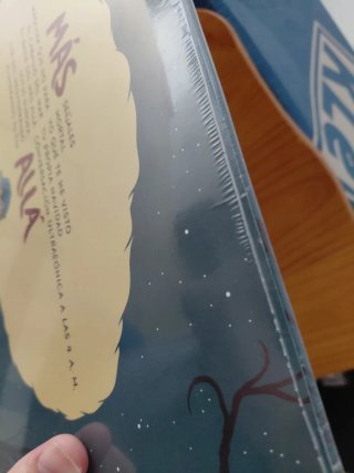 Vinilo SURFIN' BICHOS - Más allá