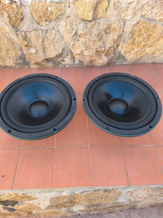 Altavoces beyma Digital X 10" (2 unidades) 4 ohm
