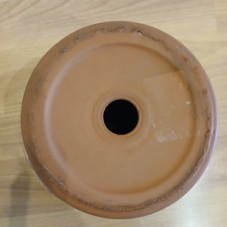 Maceta terracota cerámica flores amarillas
