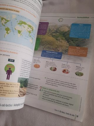 GEOGRAFIA I HISTORIA 1 IB (COMUNITAT EN XARXA)