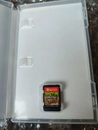 Minecraft Nintendo Switch