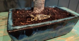 FIGURITA PARA BONSAI