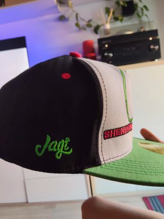 Gorra Dragon Ball Z Shenron Bordado