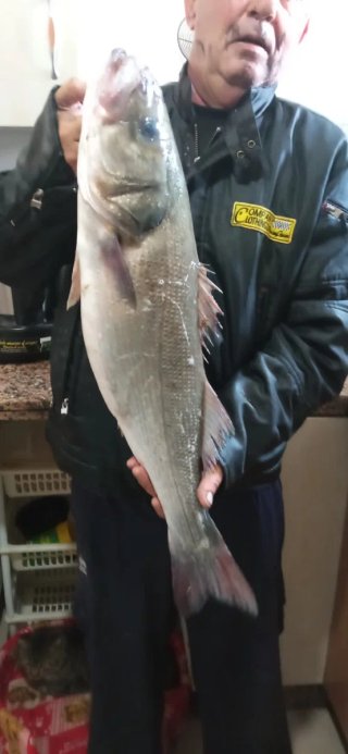 Lancha Ducauto 5m + Motor Parsun 15cv