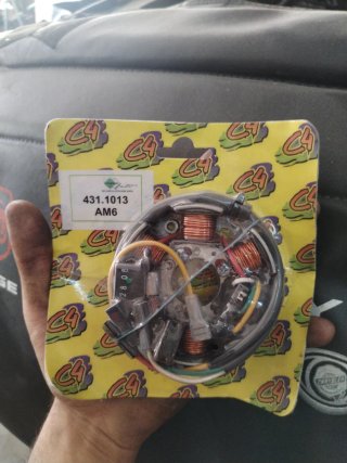 Bobina Estator C4 AM6