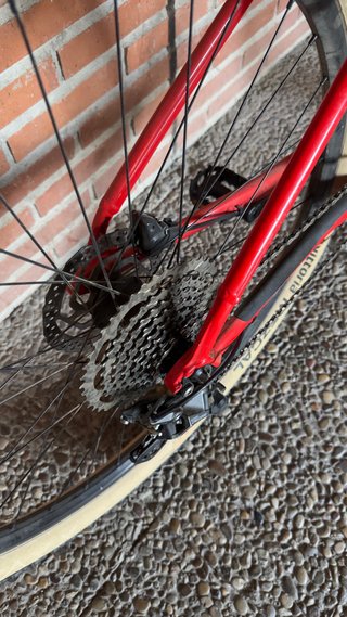 Trek Marlin 7- Color Pro Team