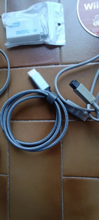 Nintendo Wii + Juegos y Accesorios