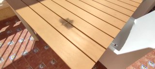 Conjunto mesa y sillas jardín