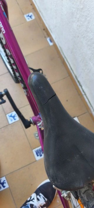 Bicicleta MTB Top Salmar 24 Morada