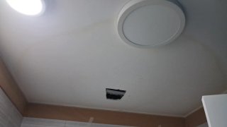 Soi albañil y pintor fontanero ago trabajos por ta