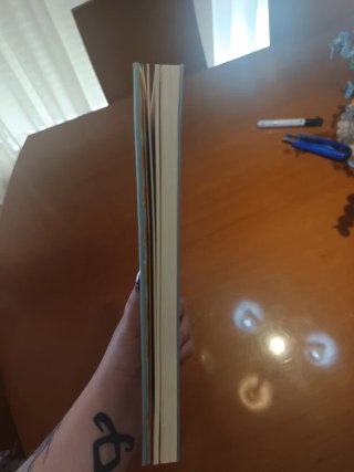 El libro de los rostros (Spanish Edition)