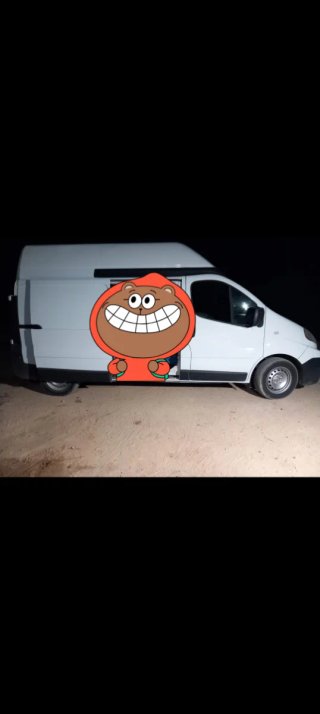Renault Trafic 2013