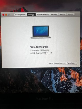 Portátil Apple Plata