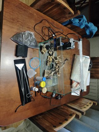 Acuario con decoración y accesorios