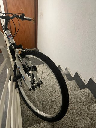 Bicicleta de montaña