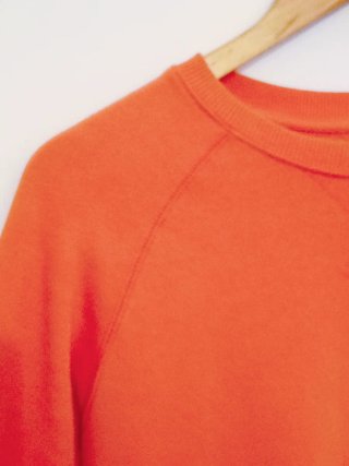 Jersey Coral