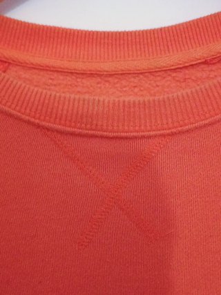 Jersey Coral