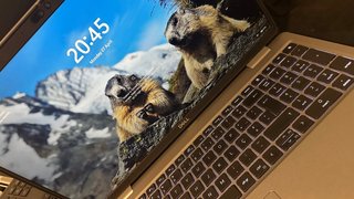 Portatile Dell Latitude 5540 i7