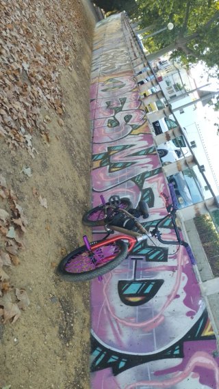 Bicicleta BMX 20 pulgadas