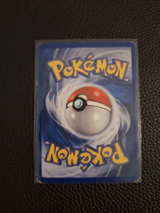 Carta Pokémon Wooper 117/142 ITA LP Aquapolis
