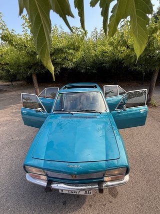 Peugeot 504 2016