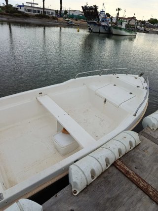 Motor fueraborda Yamaha 25 CV