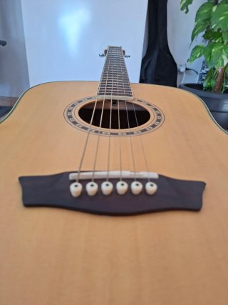 Washburn WD10S NS Guitarra Acústica